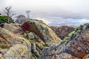 Point Lobos-0112-2.jpg Point Lobos-0112-2.jpg